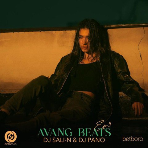 دانلود آهنگ دی جی پنو و دی جی سالی ان به نام آونگ بیتز (اپیزود 5)